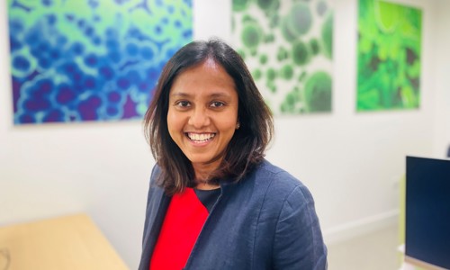Manjula Website